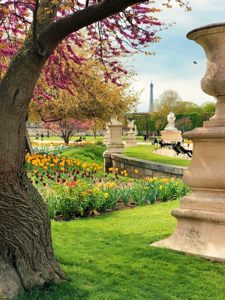 Création de jardin