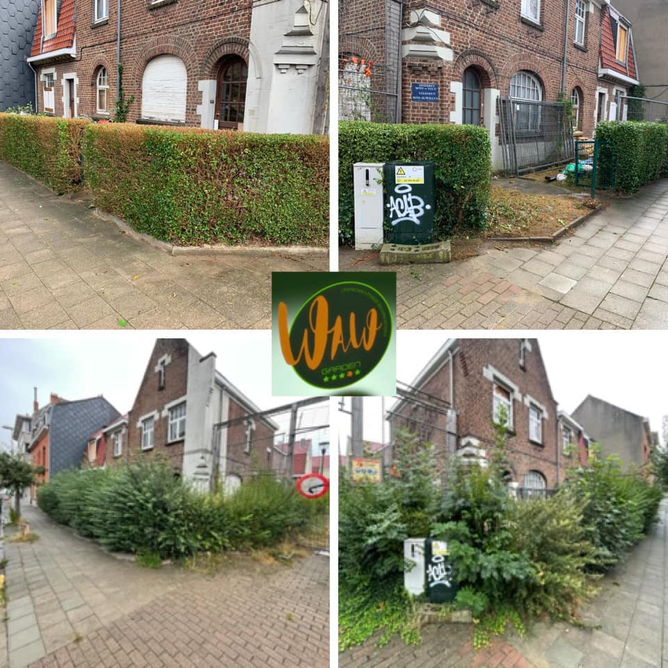 Travaux entretiens exterieur