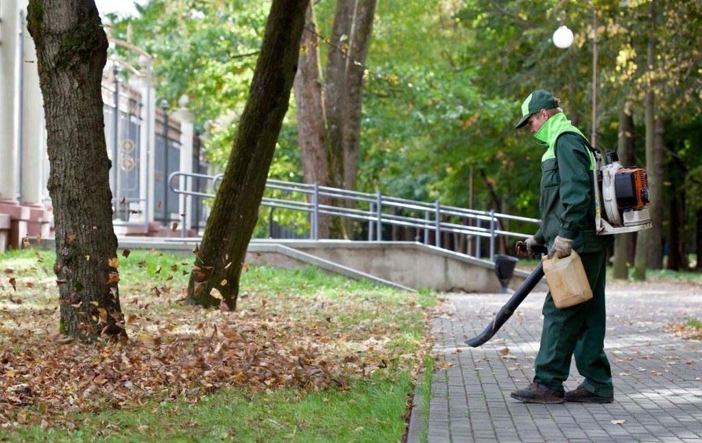 Soufflage et ramassage de feuilles