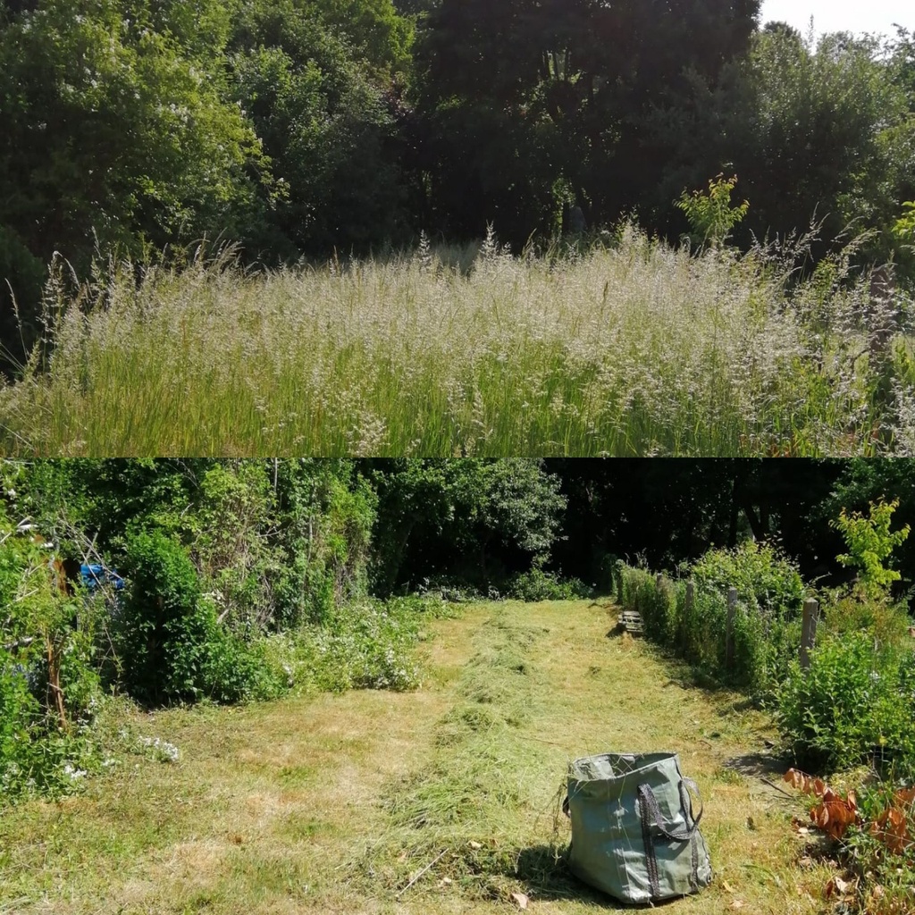 Évacuation de déchets verts